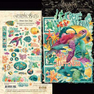 Ephemera temático marinho com animais do oceano e textos decorativos coloridos em fundo branco e preto