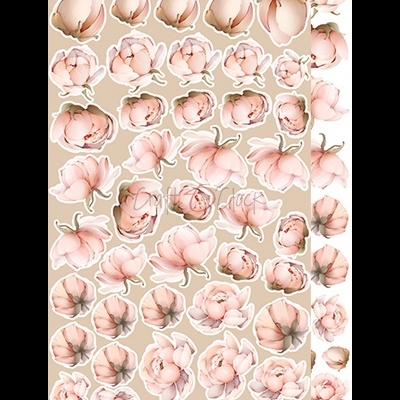 Autocolantes de flores rosas e bege com contorno branco