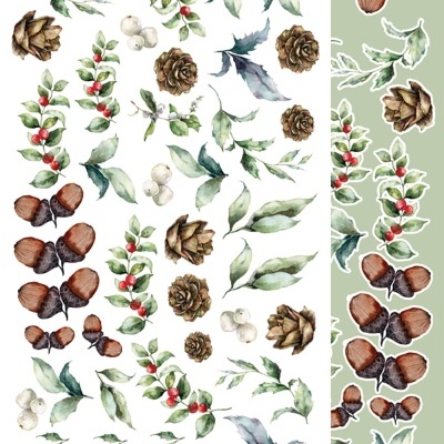 Ilustrações aquareladas de pinhas, folhas e bagas em fundos branco e verde claro.