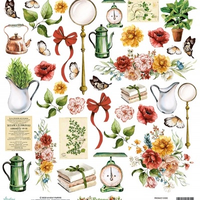 Ilustrações botânicas de flores, folhas, utensílios antigos e objetos decorativos em fundo branco