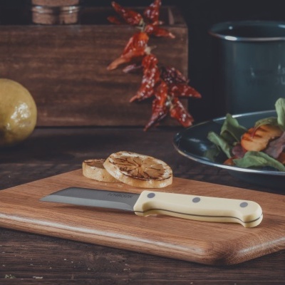 Tabuleiro de madeira com faca, torradas e salada colorida sobre mesa rústica
