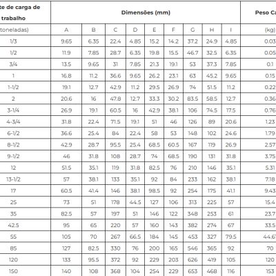 Tabela técnica com limites de carga, dimensões em mm e peso em kg