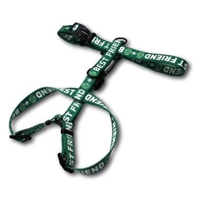 Peitoral para cão verde com texto BEST FRIEND e fivela preta