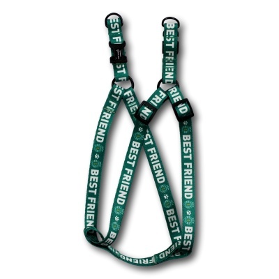 Arnês para cães verde com texto BEST FRIEND e elementos decorativos em branco