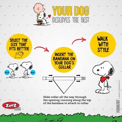 Instruções com Snoopy sobre como colocar uma bandana no colar do cão