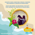 Cartaz promocional com imagem de duas pessoas e elementos gráficos coloridos