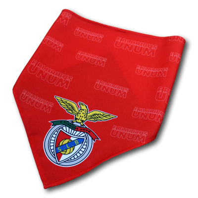 Lenço triangular vermelho com padrão e emblema colorido com águia e texto