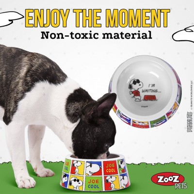 Tigela para cães colorida com imagens de Snoopy e texto 'JOE COOL', e cão preto e branco a comer.