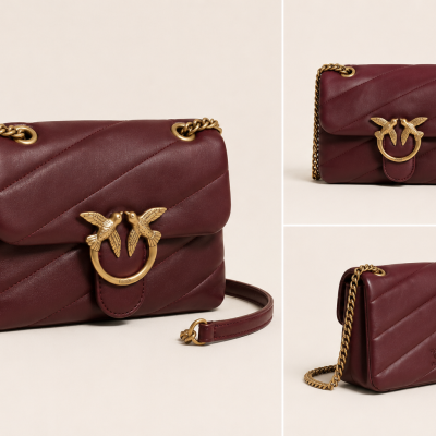 Burgundy leather handbag with gold bird clasp and chain strap