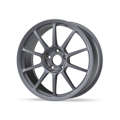 Matte grey alloy wheel rim with 10 thin spokes