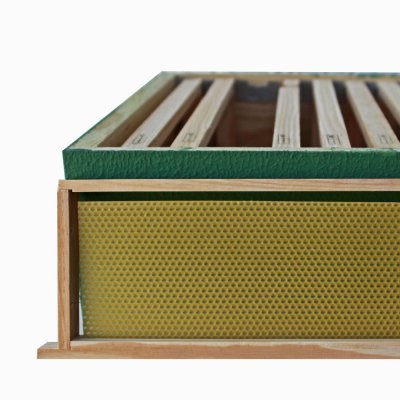 Caixa verde de apicultura com molduras de colmeia e moldura destacada com cera amarela.