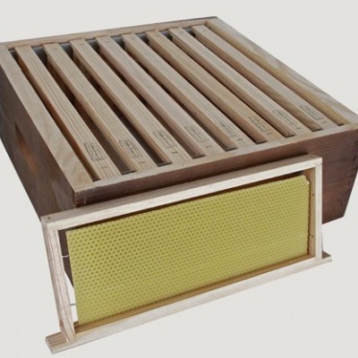 Caixas de madeira para colmeias com formações de cera amarela