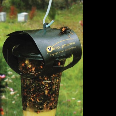 Armadilha para insetos preta e transparente cheia de insetos num jardim