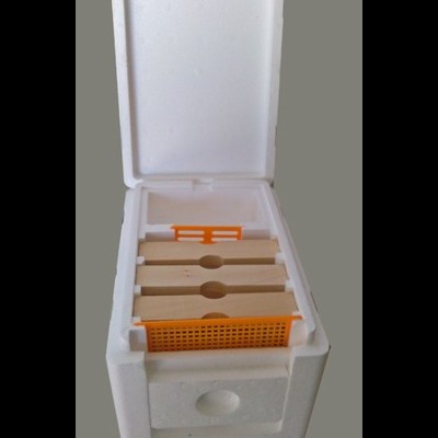 Caixa de isopor branca aberta com estrutura interna de madeira e plástico laranja