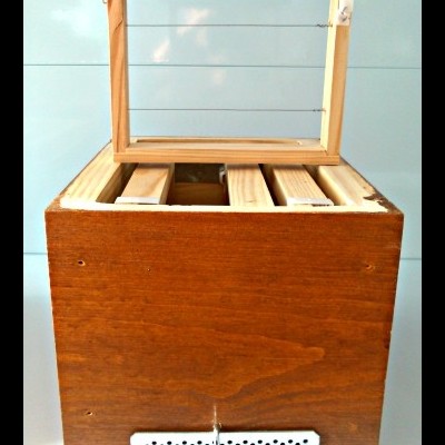 Caixa de madeira para apicultura com estrutura quadrada em cima e placa metálica furada na frente