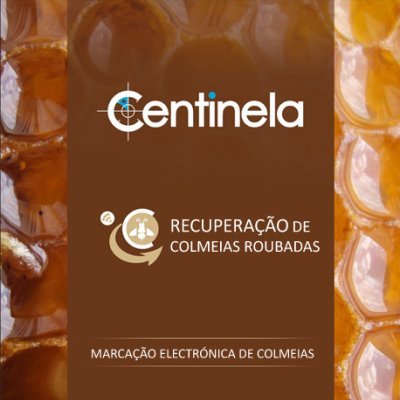 Logotipo Centinela com texto sobre fundo castanho e textura de favo de mel