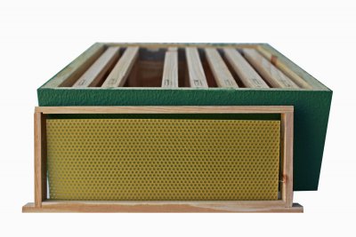 Caixa verde de apicultura com molduras de colmeia e moldura destacada com cera amarela.