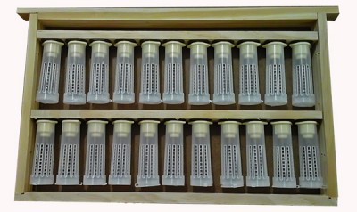 caixa de madeira com 20 tubos de ensaio de plástico transparentes com tampa branca e etiquetas numeradas