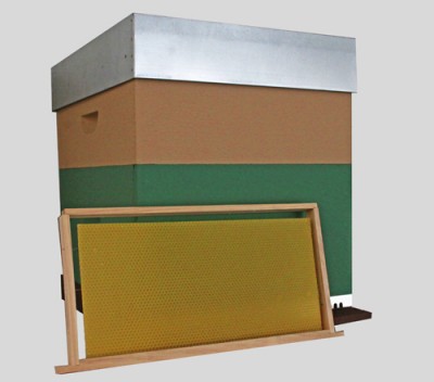 Colmeia de abelhas com corpo verde e castanho e cera amarela hexagonal