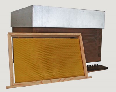 Colmeia de abelhas em madeira com tampa metálica e quadro com cera de abelha