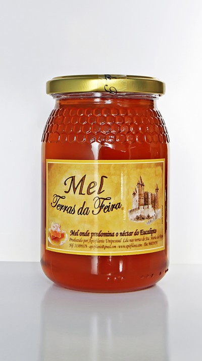 Frasco de vidro com mel e etiqueta 'Mel Terras da Feira'