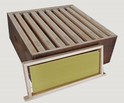 Caixas de madeira para colmeias com formações de cera amarela