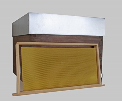 Caixa de colmeia com estrutura de cera amarela e tampa metálica