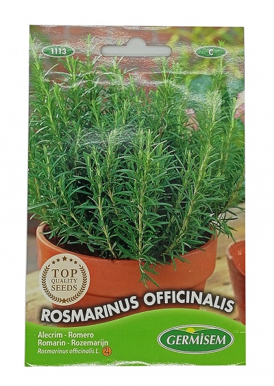 Pacote de sementes de Rosmarinus Officinalis com planta verde em vaso de barro