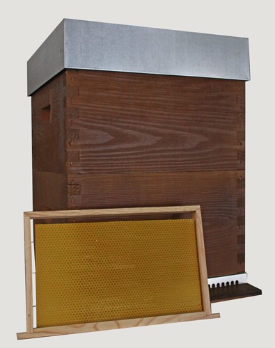 Colmeia de abelhas em madeira com quadro de mel