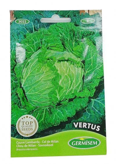 Pacote de sementes de couve lombarda verde da marca GERMSEM