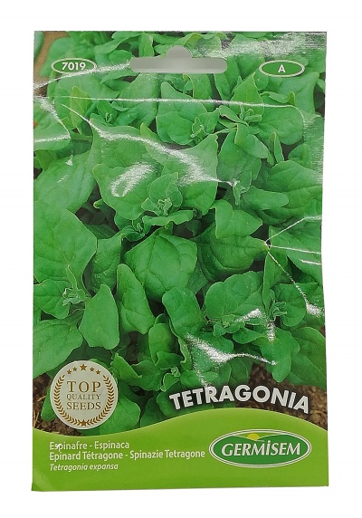 Pacote de sementes de tetragonia com imagem de folhas verdes