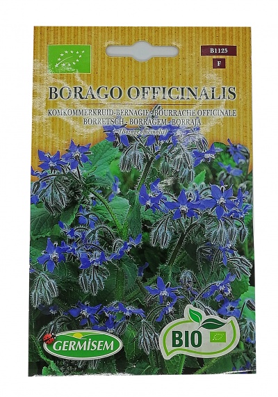 Pacote de sementes de Borago Officinalis com flores azuis e folhas verdes, selo BIO e texto informativo