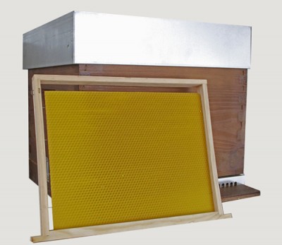 Caixa de mel com quadro de cera amarela