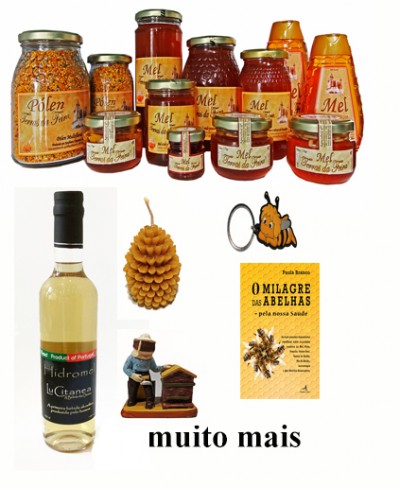 Conjunto de produtos relacionados com mel e apicultura, incluindo frascos de mel, pólen, vela, chaveiro, figura de apicultor, garrafa de hidromel e livro.