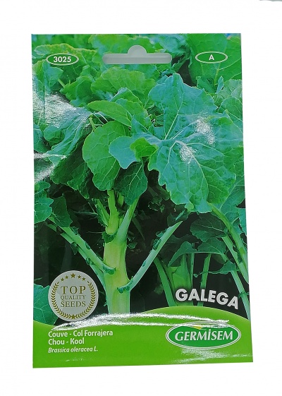 Pacote de sementes de couve galega verde com texto e selo de qualidade