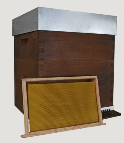 Caixa de colmeia de madeira com tampa metálica e quadro de cera de abelha