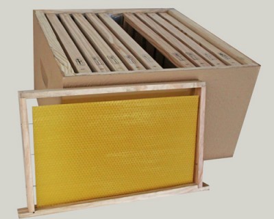 Quadros de mel em estrutura de madeira com cera amarela dentro de caixa de cartão