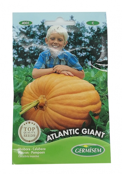 Pacote de sementes de abóbora gigante Atlantic Giant com imagem de criança e texto informativo