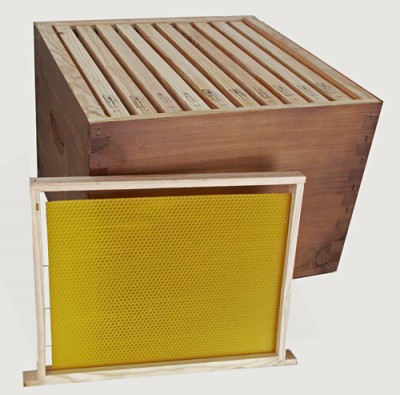 Caixa de madeira com estruturas internas e uma estrutura amarela de cera de abelha