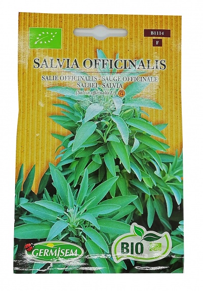 Pacote de sementes de Salvia Officinalis com imagem da planta e texto informativo