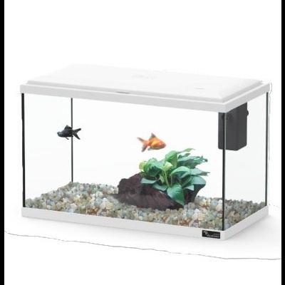 Aquário retangular com peixes e planta artificial