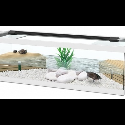 Aquário retangular com cascalho branco, pedras, planta verde e duas plataformas de madeira com tartarugas pequenas