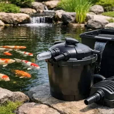Filtro para lago preto ao lado de lago com peixes koi e pedras.