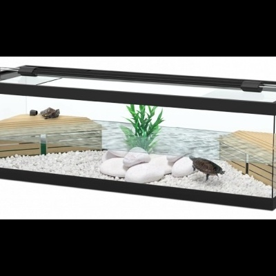 Aquário retangular de vidro com decoração interna e pequenos animais.