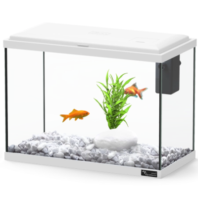 Aquário retangular com peixes dourados, pedras e planta