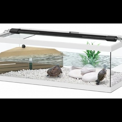 Aquário retangular com tartarugas, pedras brancas, esconderijo de madeira e planta artificial