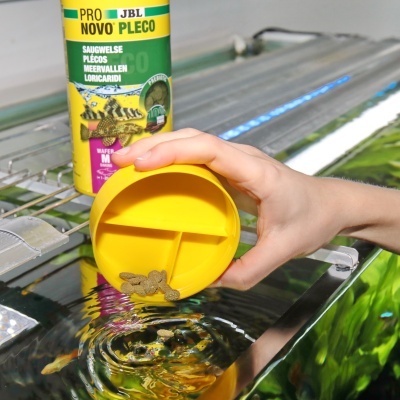 Recipiente amarelo com comida de peixe e embalagem de alimento para peixes ao fundo