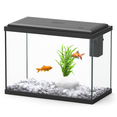 Aquário retangular com tampa preta e peixes dourados