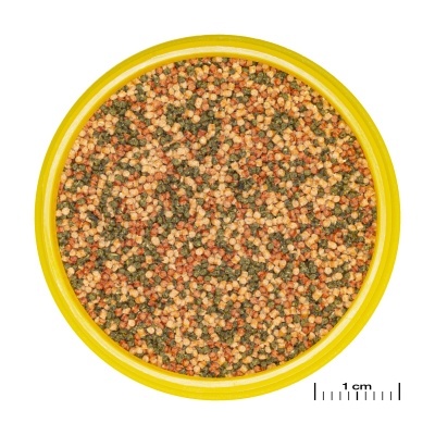 Recipiente amarelo com pequenos grânulos coloridos e escala de 1 cm ao lado