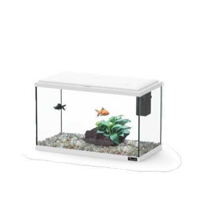 Pequeno aquário retangular com dois peixes e planta artificial